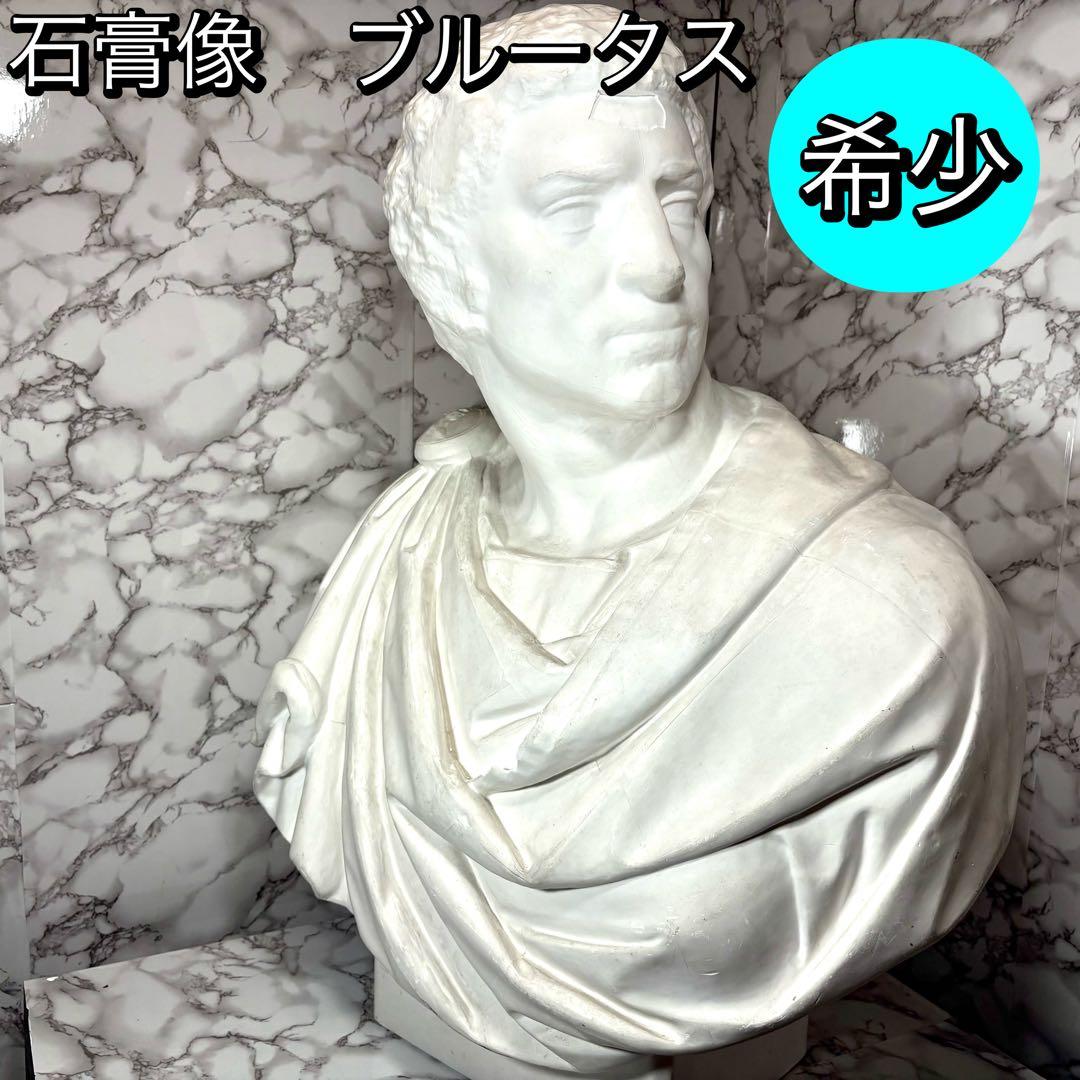 希少　石膏像　ブルータス　胸像　デッサン　特大