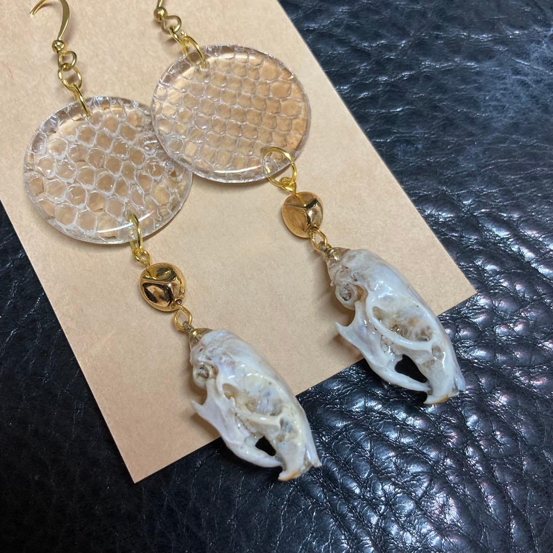 ぶっ飛んでる人向け ヘビの抜殻＆マウスの頭骨ピアス