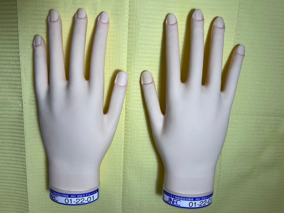 認定　モデルハンド