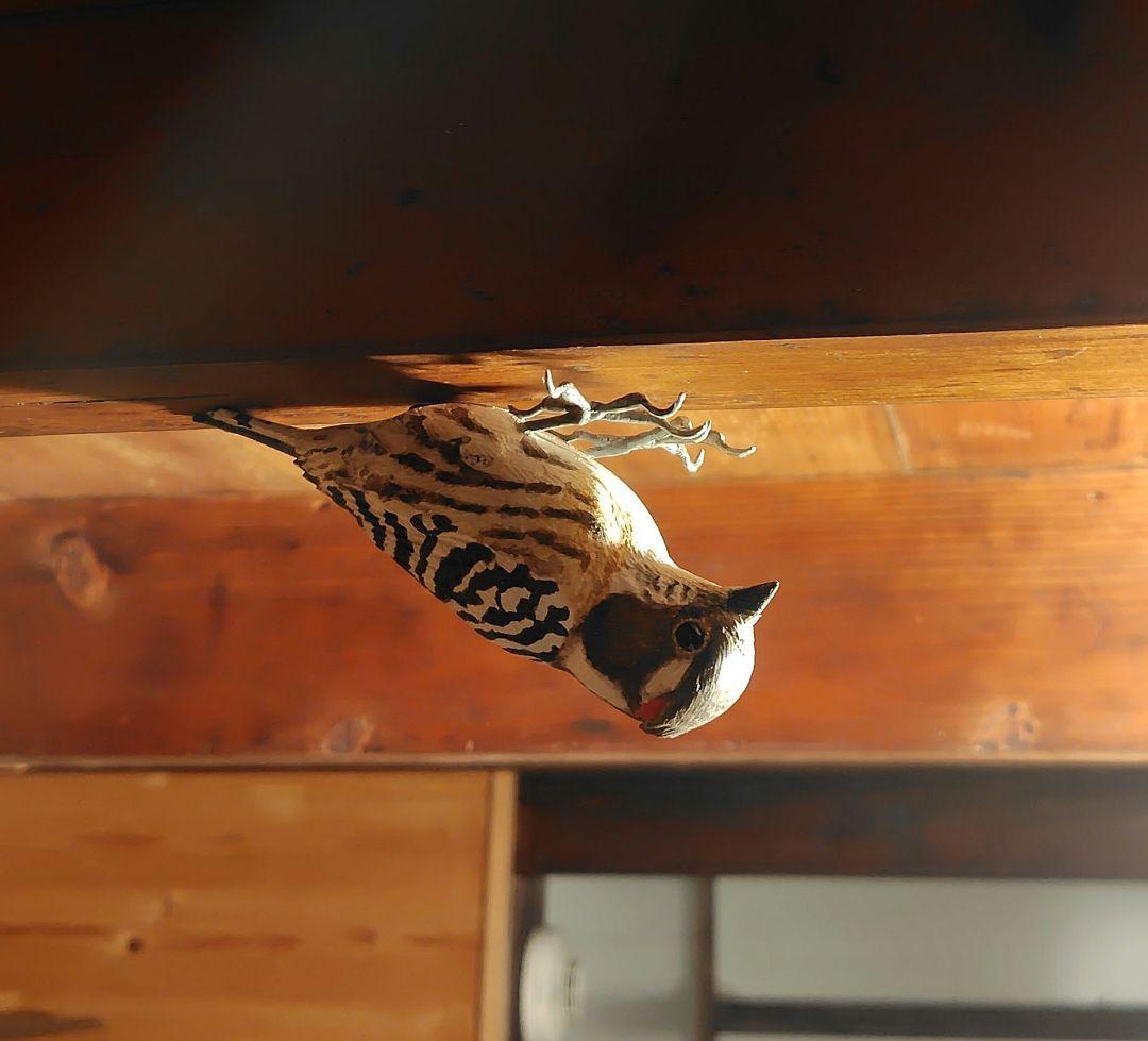 バードカービング コゲラ(キツツキ) マグネット 野鳥 木彫り - メルカリ