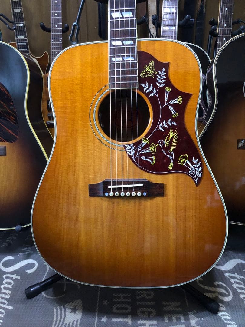 ギブソン　ハミングバード2020年製