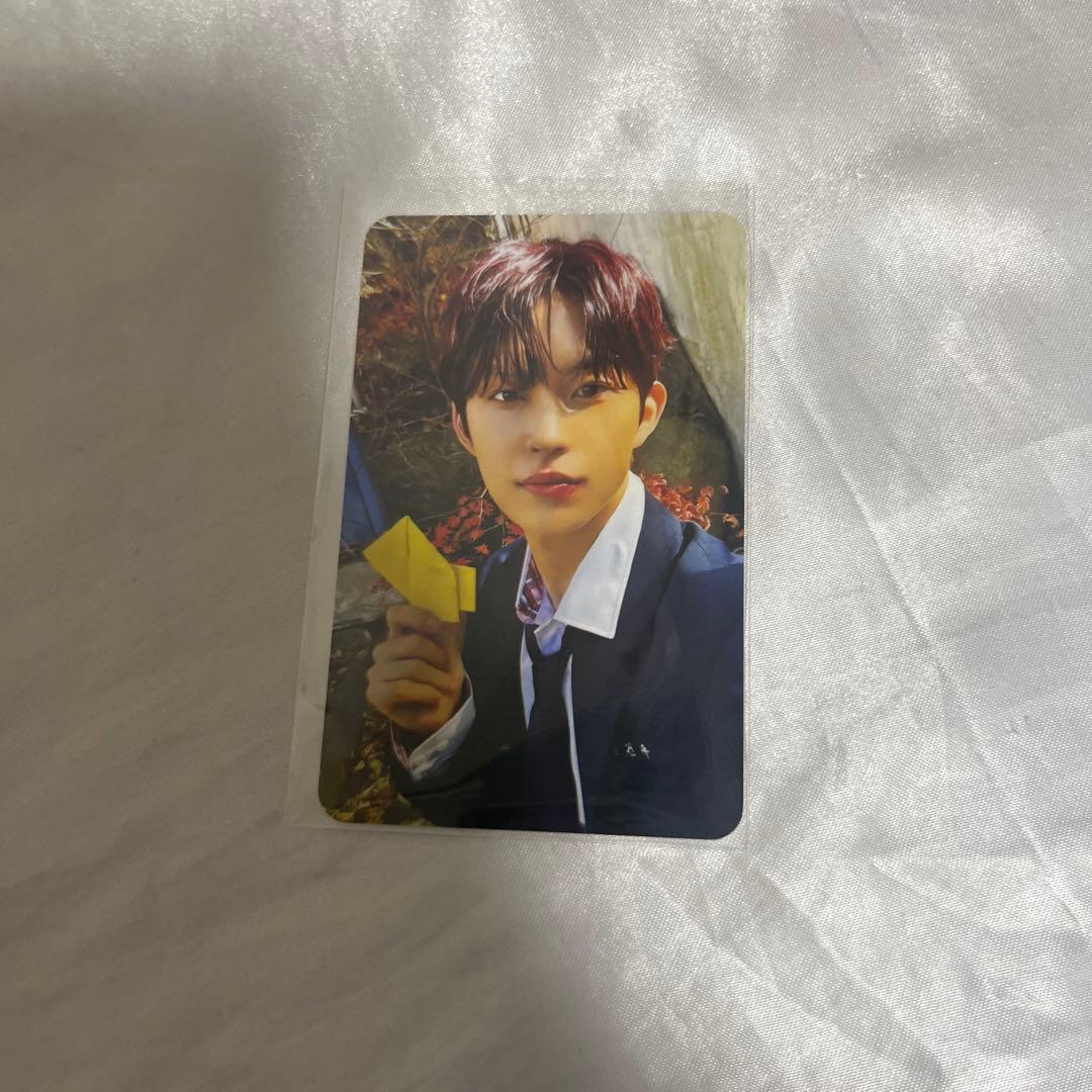 ALD1 ゴヌ デビューショーケース ショケ サノク 限定 トレカ - メルカリ