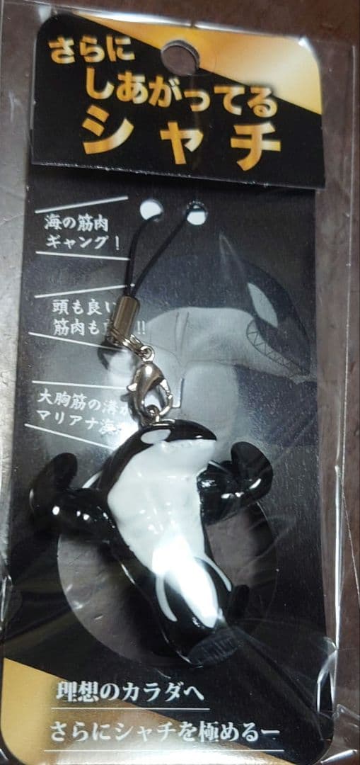 新品】さらに、しあがってるシャチ 新品未開封 須磨シーワルド 岩本照