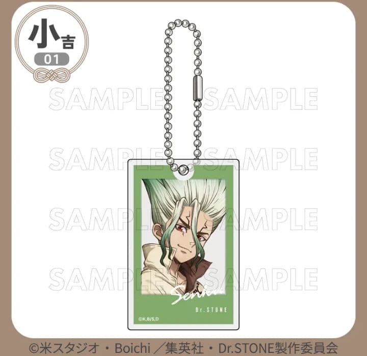 Dr.STONE まるくじ 第2弾 アクリルキーホルダー 缶バッジ 石神千空