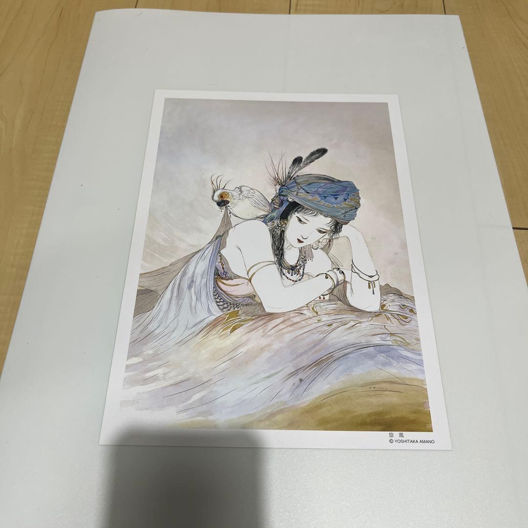 入手困難 吸血鬼ハンターD、その他 イラスト4枚セット集 画・天野喜孝