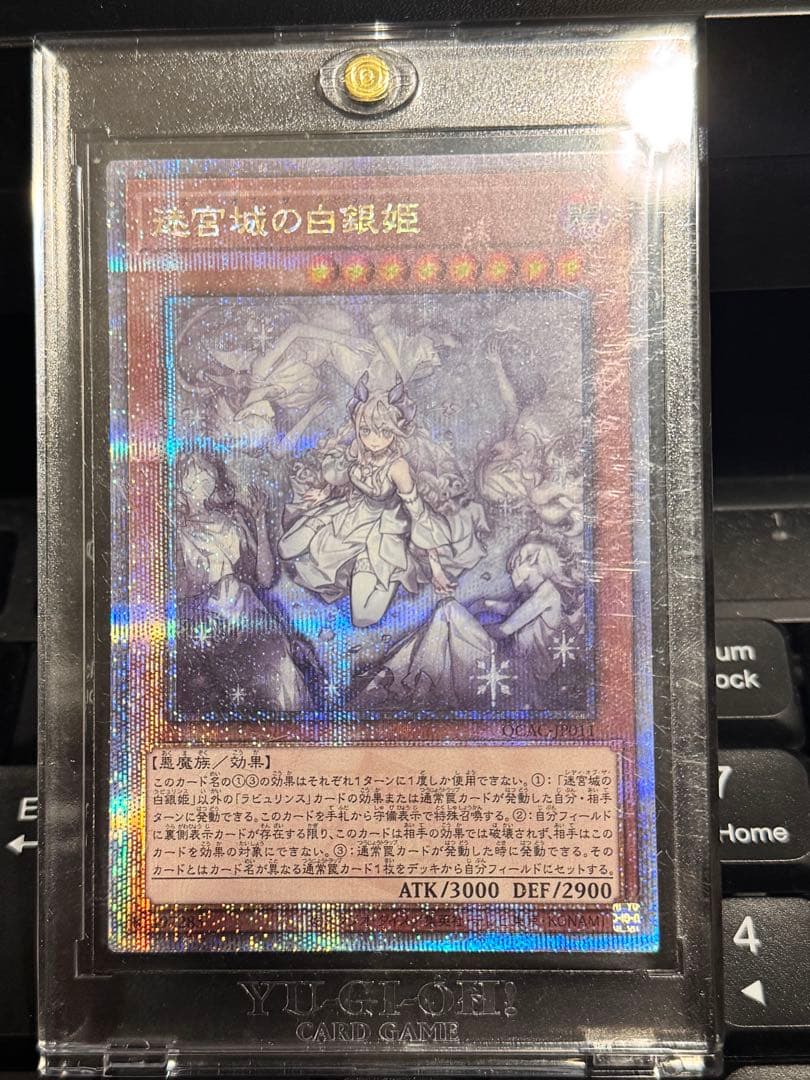 迷宮城の白銀姫 絵違い(レディ・オブ・ラビュリンス)25th クオシク