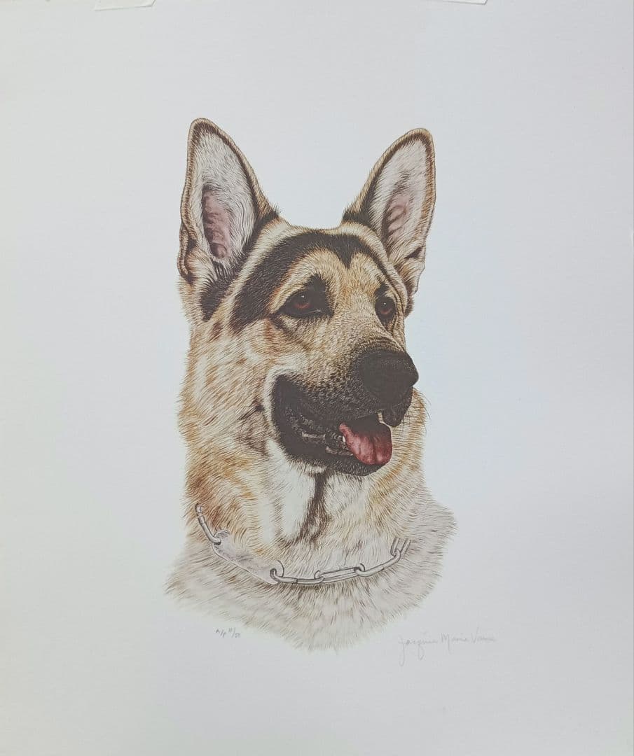 ジャッキーマリーヴォーグ　ジャーマンシェパード　オフセットリトグラフ　シートのみ