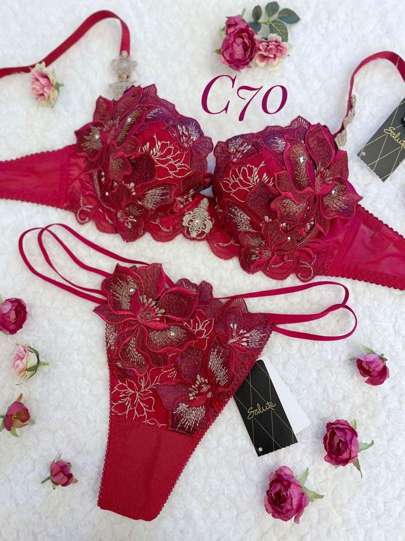 サルート C70/M 29 RE ガレ 限定コレクション