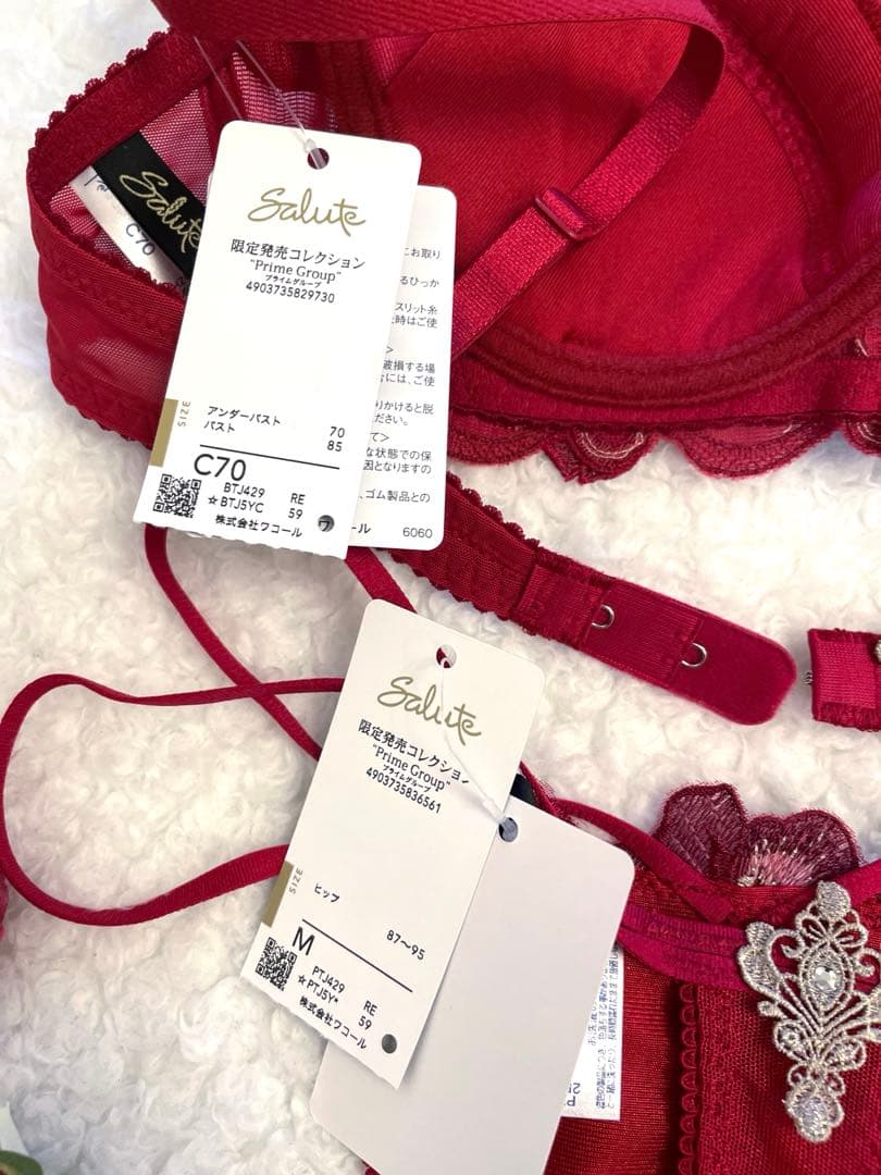 サルート C70/M 29 RE ガレ 限定コレクション - メルカリ