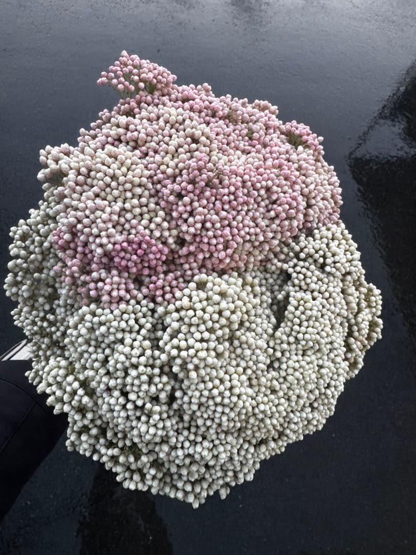 supicachiho様 リクエスト 4点 まとめ商品