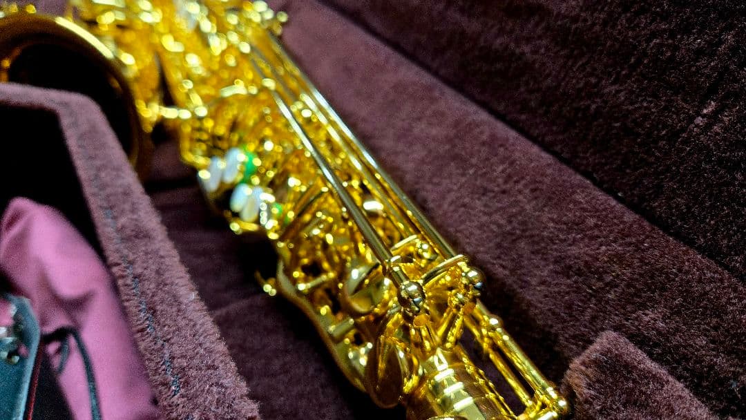 極美品【定価48万】Festi 金メッキ 1800GG GPアルトサックス - メルカリ