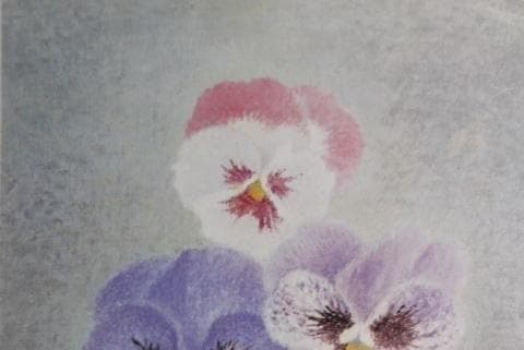 岡鹿之助、【三色すみれ】、希少な大判額装用画集より、美品、日本人