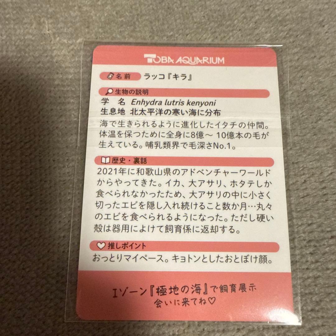 鳥羽水族館 コレクションカード キラちゃん ラッコ - メルカリ