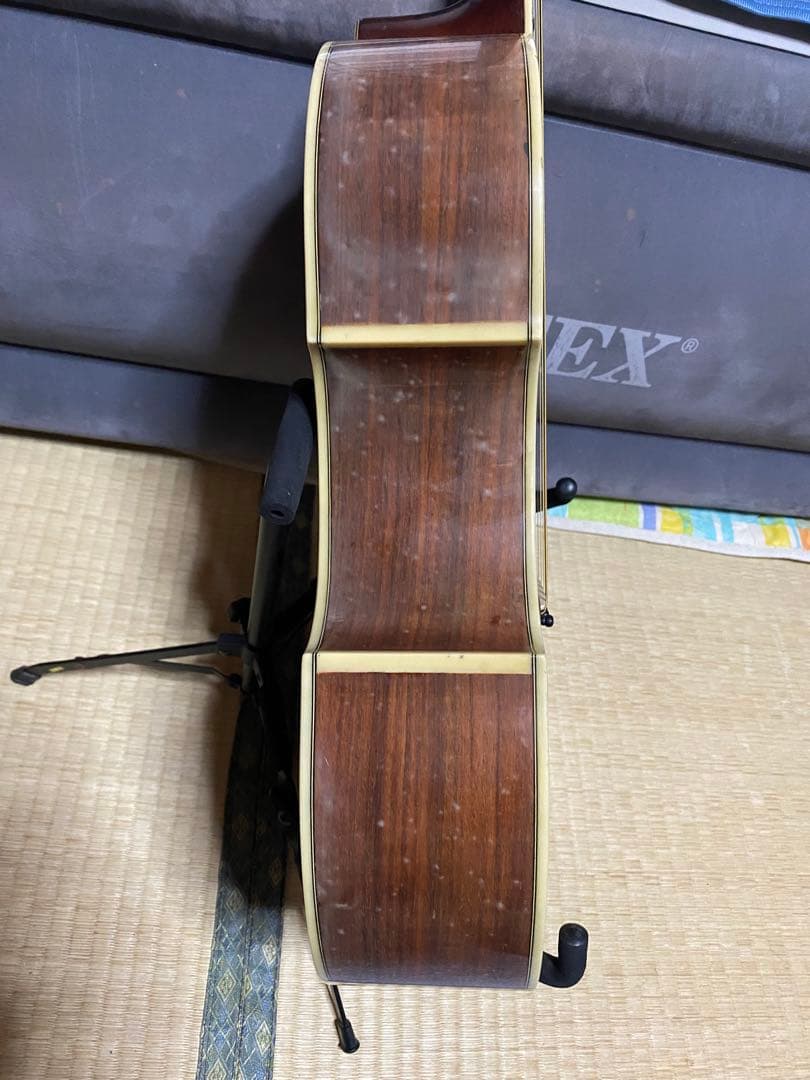 JAGARD VF600(VP60) バイオリンシェイブギター - メルカリ