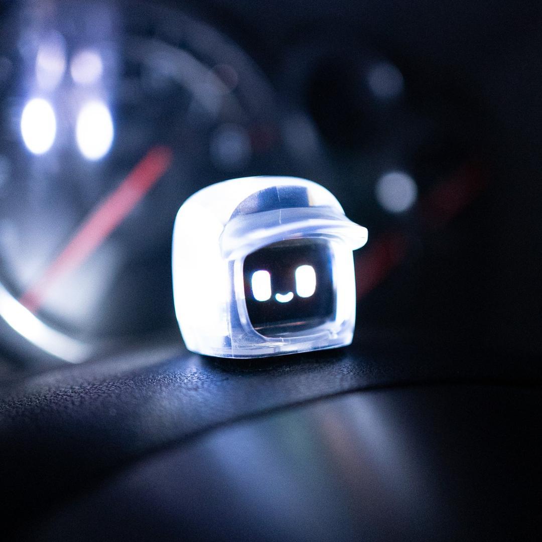 【訳あり】限定版 ダサイ もち 3 FUTURES MOCHI スモーク