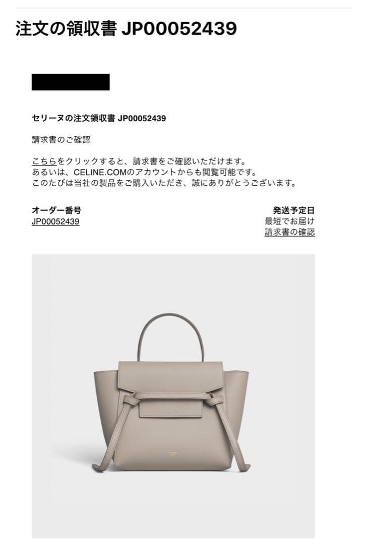 セリーヌ CELINE ベルトバッグ ナノ ライトトープ - メルカリ