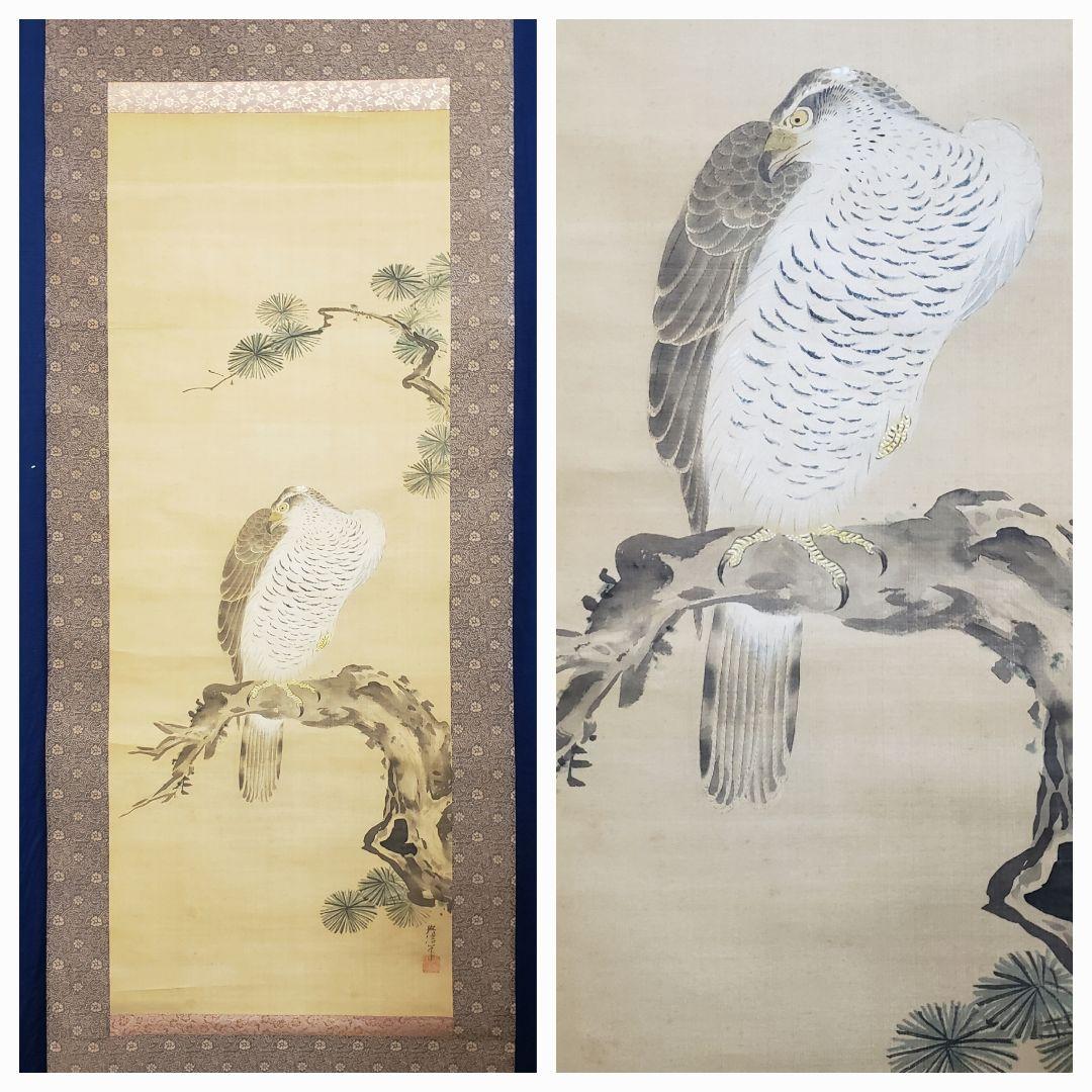 【松に鷹図】狩野栄川院典信 2580 狩野派古画　掛け軸　肉筆
