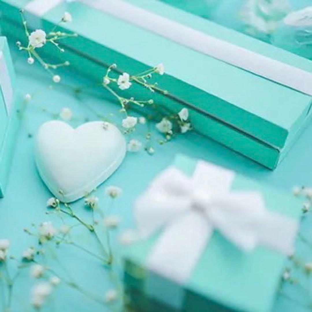 bigsby 79G 青紺銀