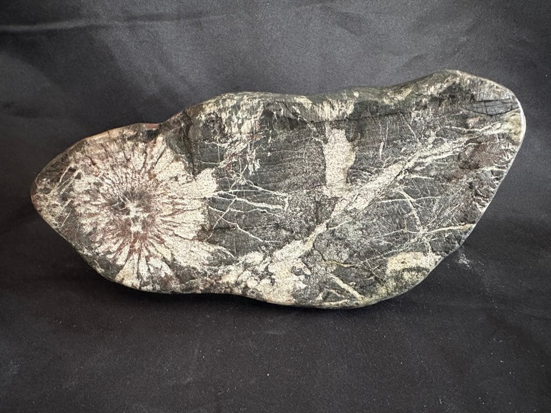 菊花石 薄紅菊&白菊 2.5kg 手彫り台座付き/水石 鑑賞石 鉱物