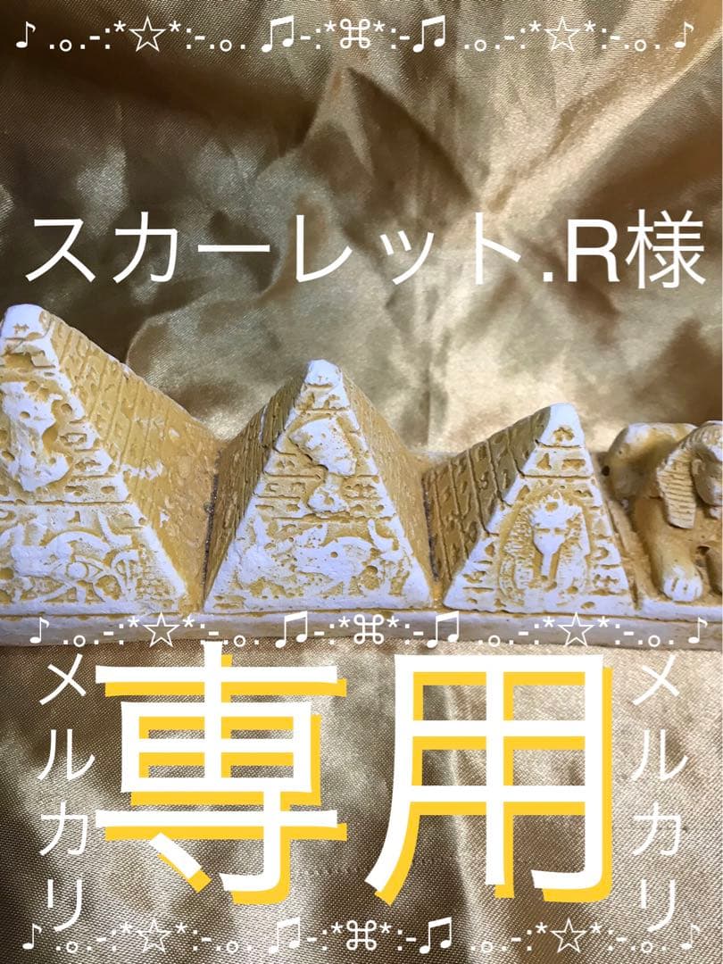 スカーレット.R宇宙10ml 推しリピート適用 5.8ml→10ml