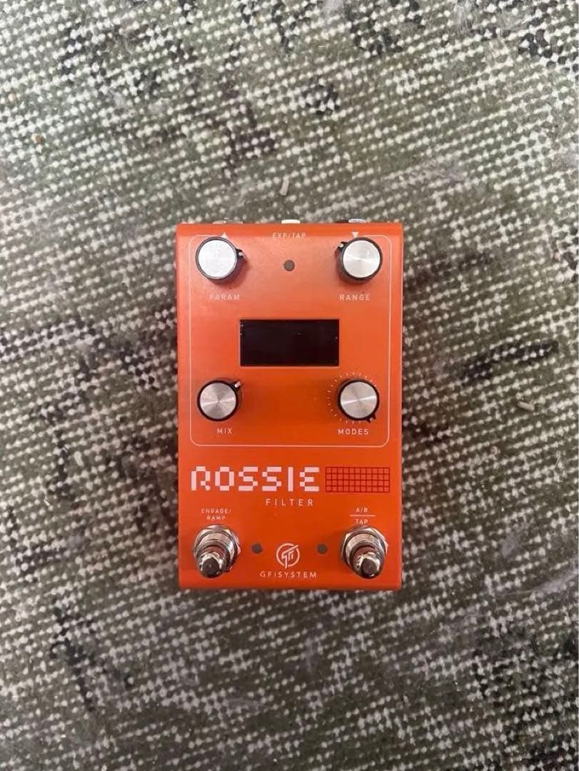 GFI SYSTEM ROSSIE FILTER 格安美品　サチモス