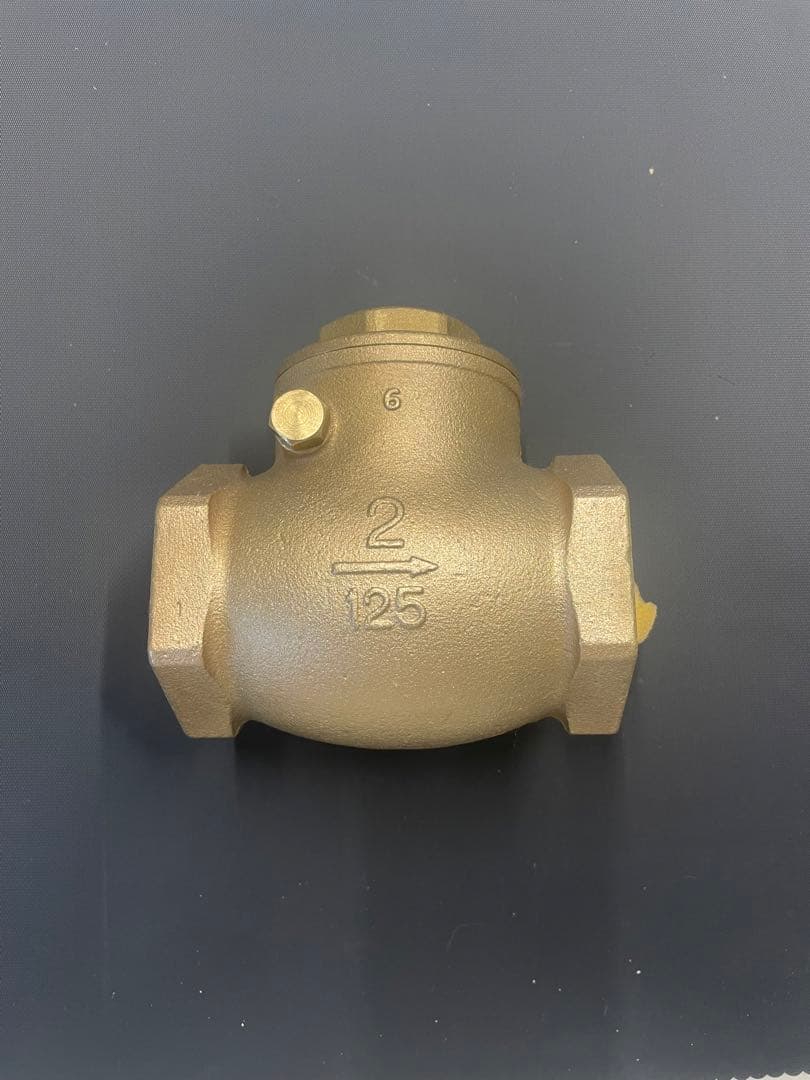 マ*ク様 KITZ スイングチャックバルブ125型/R-50A