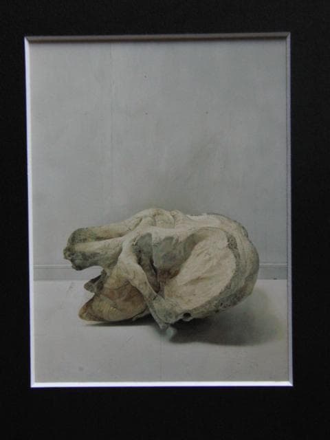 野田弘志、TOKIJIKU （非時）XVI Elephant 2、希少な画集より