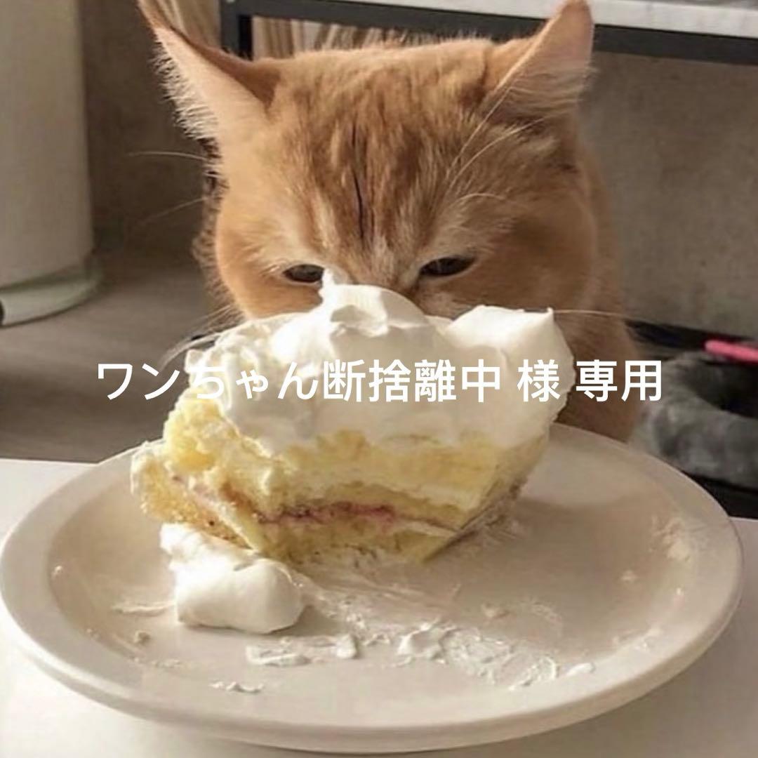 ワンちゃん断捨離中 