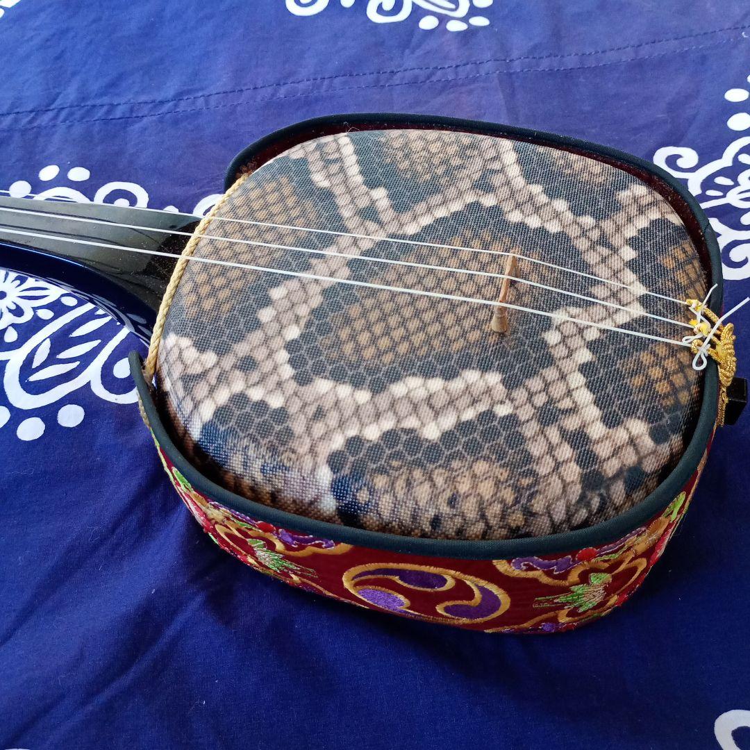 三線本体 伝統的デザイン 人工蛇皮 ハードケース付き