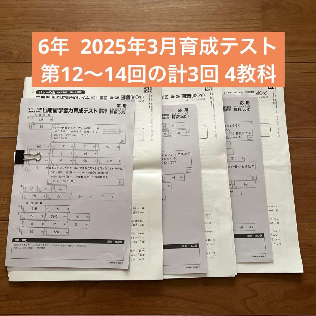 日能研 6年育成テスト 3月 全3回分 第12〜14回 - メルカリ