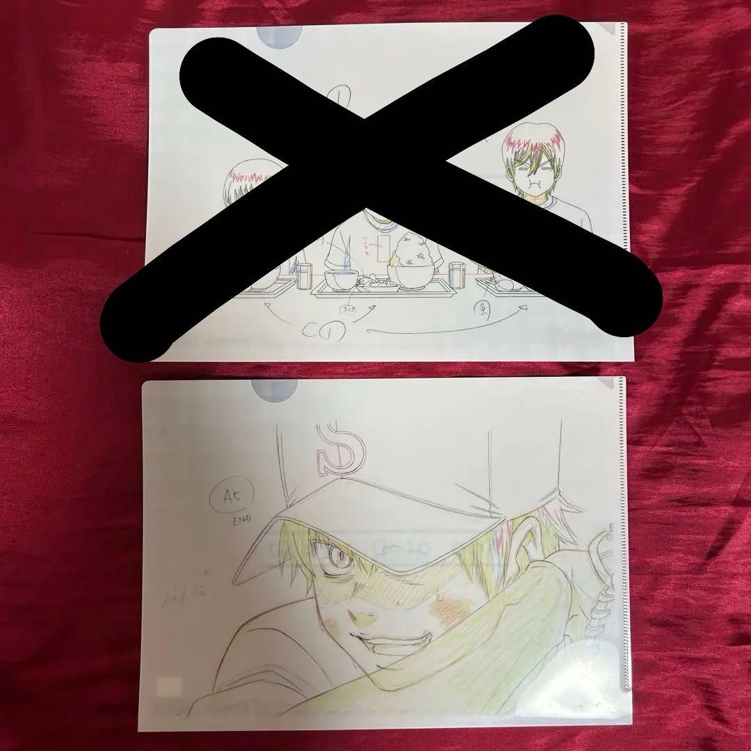 ダイヤのA 沢村栄純 クリアファイル 原画 2枚セット - メルカリ