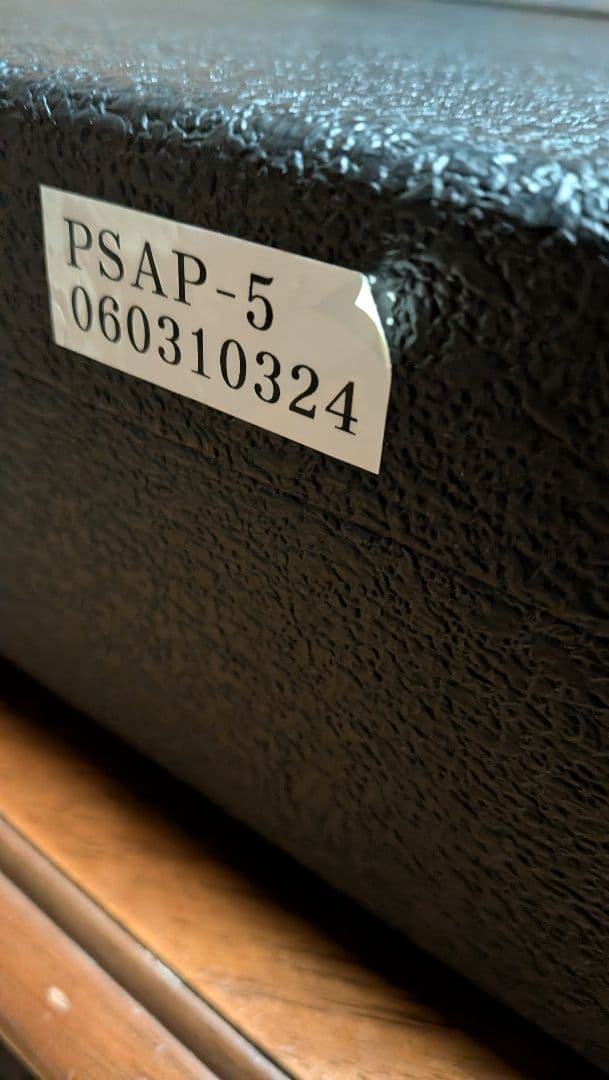 yme1051さま専用 シルバートーン PS-AP5 ポールスタンレー KISS - メルカリ