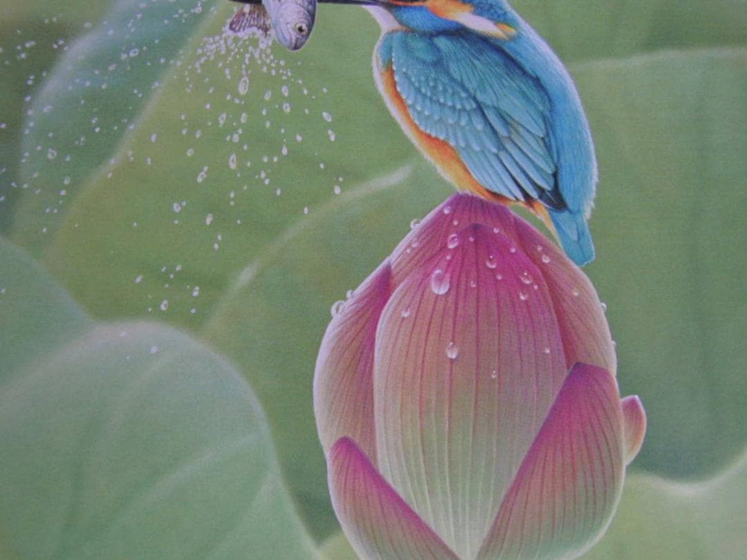 山地司、【蓮とカワセミ1】、希少な額装用画集より、厳選、新品額装