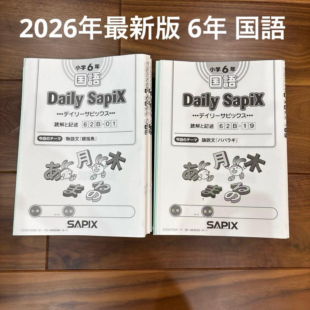 2025年度 サピックス 6年生 国語B 欠番なし 01~38 - メルカリ
