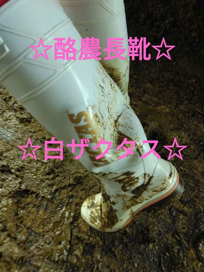 R*)様 ☆酪農長靴☆ ザクタス Z-100 ホワイト 27cm 堆肥臭キツメ