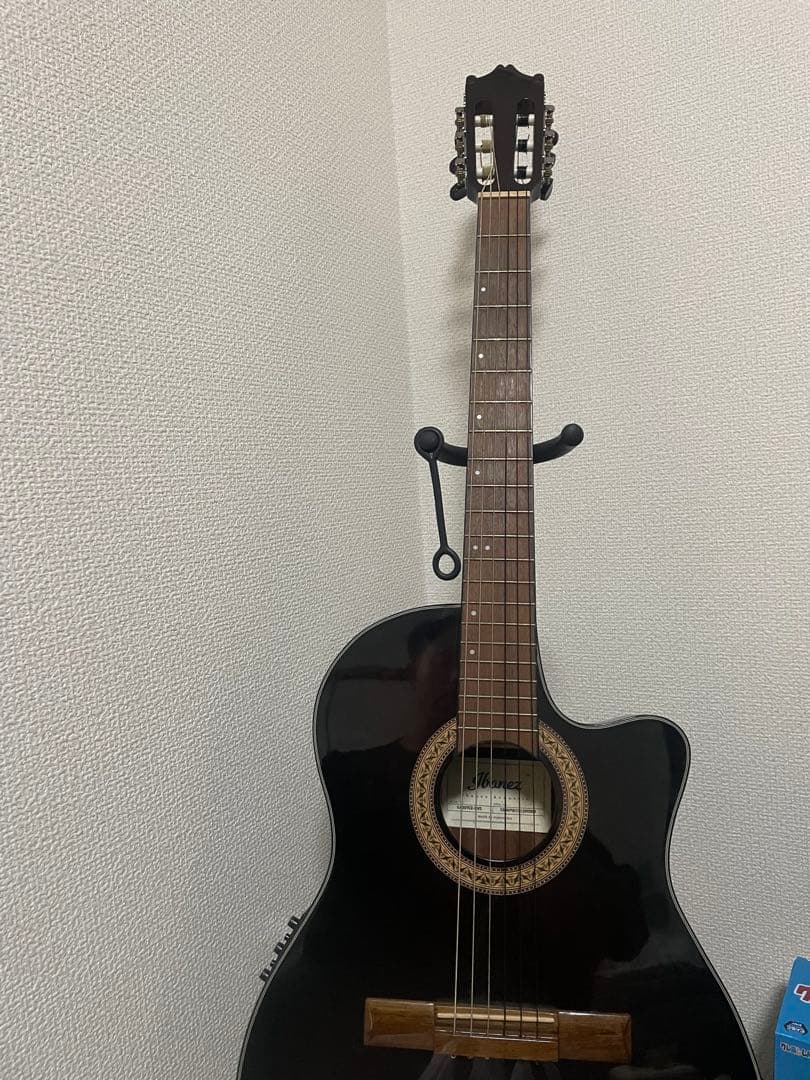 Ibanez GA30TCE-DVS アコースティックギター