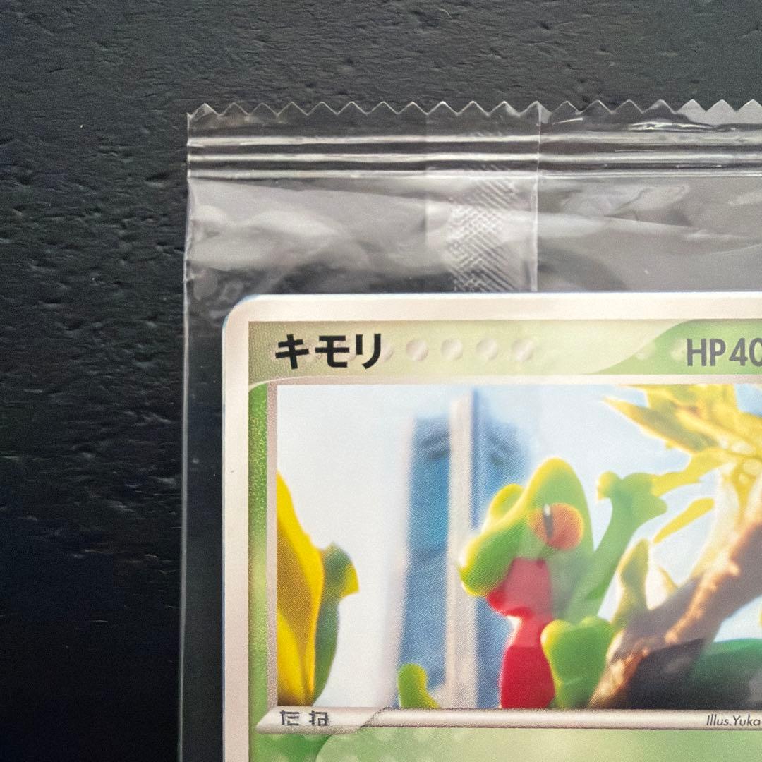 未開封＞キモリ 037/PCG ポケモンセンターヨコハマ オープン記念