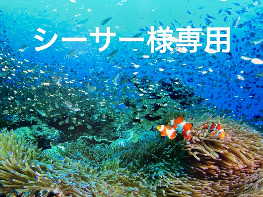 エンビロンモイスチャートーナー200ml　Cクエンスクリーム