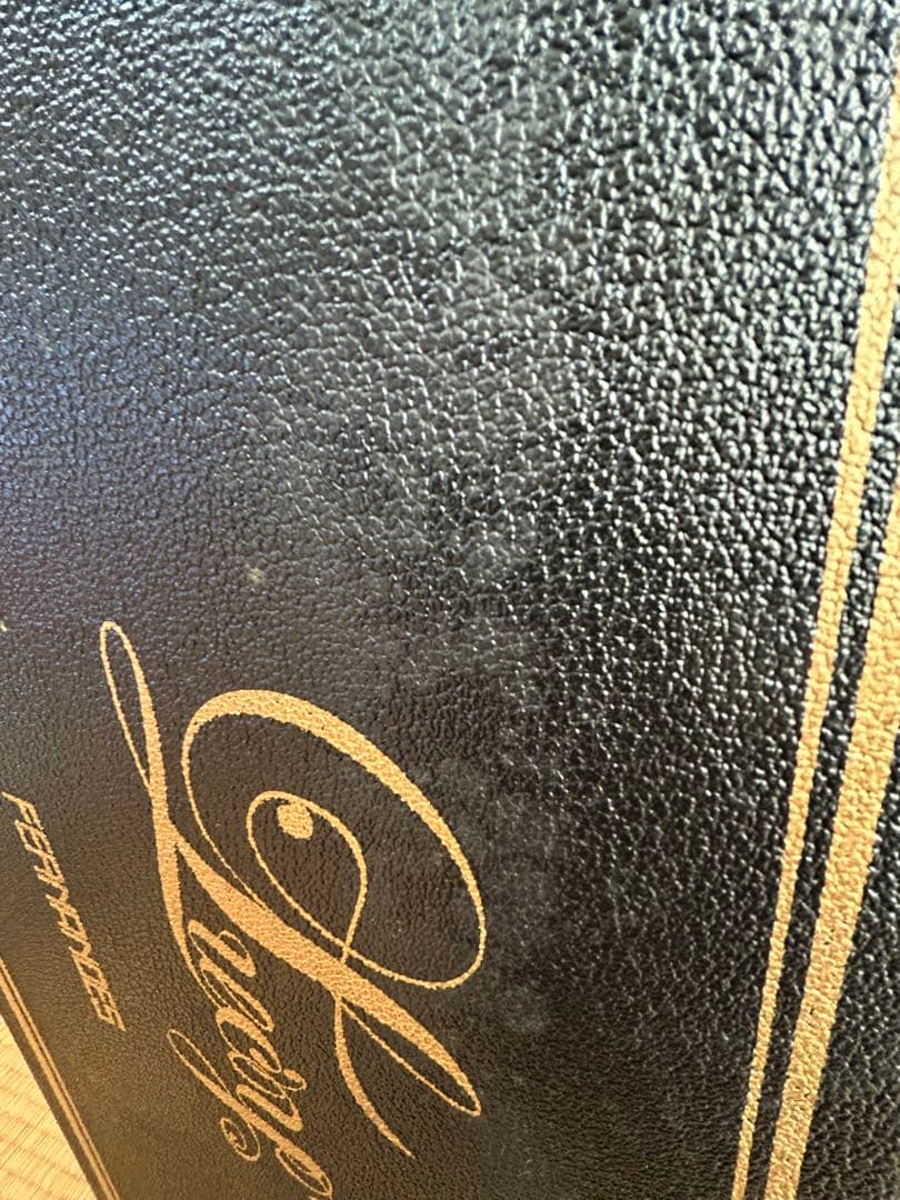 FERNANDES Lucy KANOKE 棺桶 BUCK-TICK 今井寿 - メルカリ