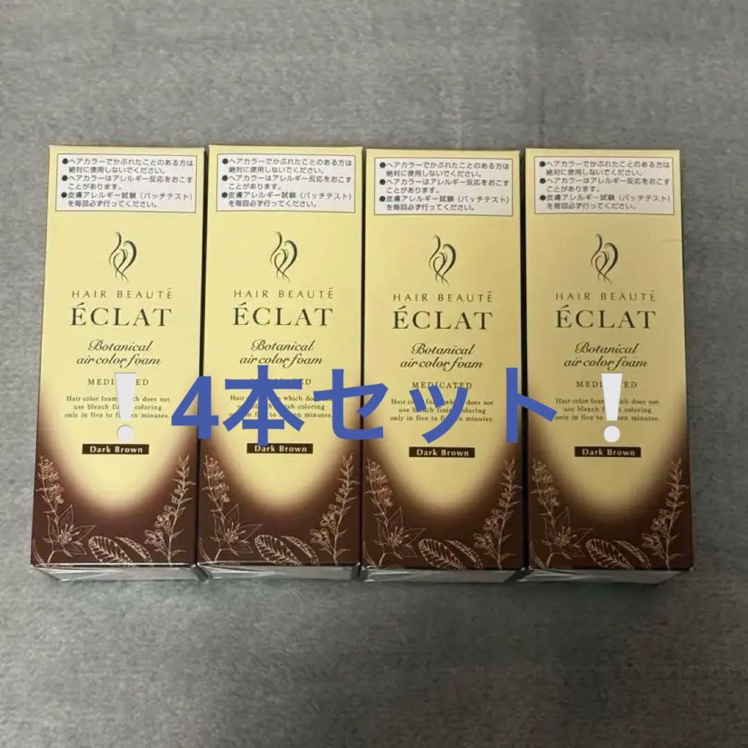 ÉCLAT ボタニカルエアカラーフォーム ダークブラウン 80g 4本セット ヘアボーテ エクラ ボタニカルエアカラーフォーム ダークブラウン