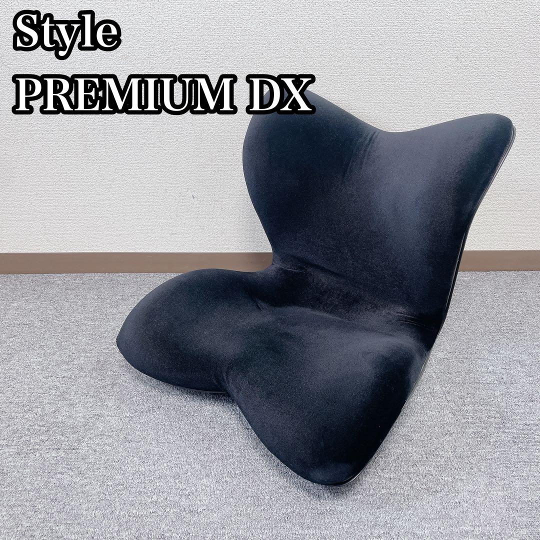 MTG Style PREMIUM DX 骨盤矯正 姿勢矯正クッション