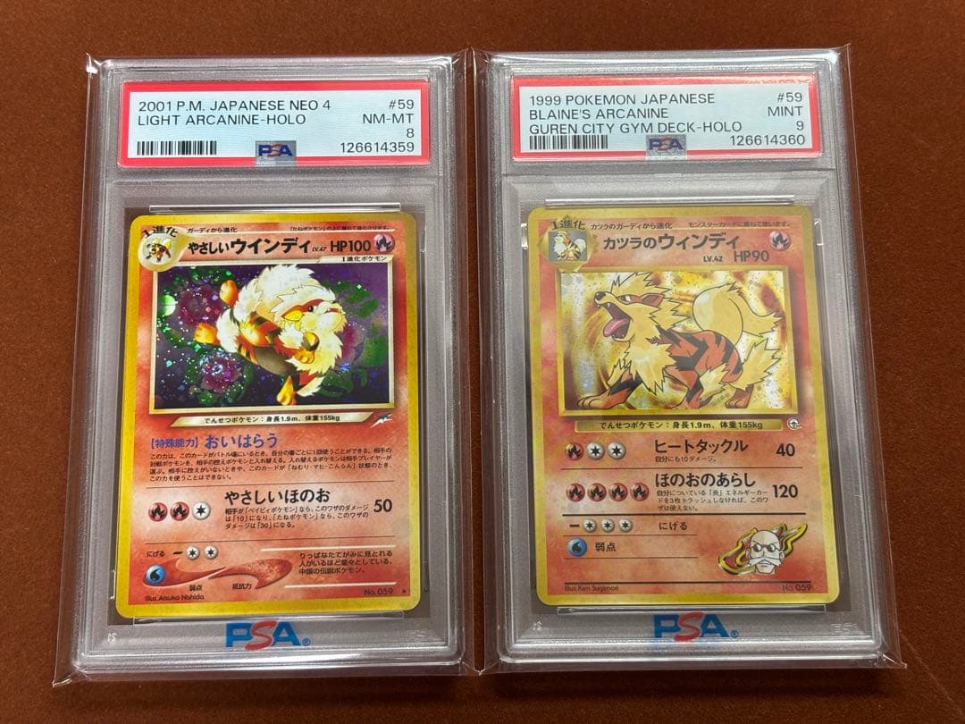 【高騰中】旧裏 ウインディ やさしい カツラ ジムリーダー ホロ 希少