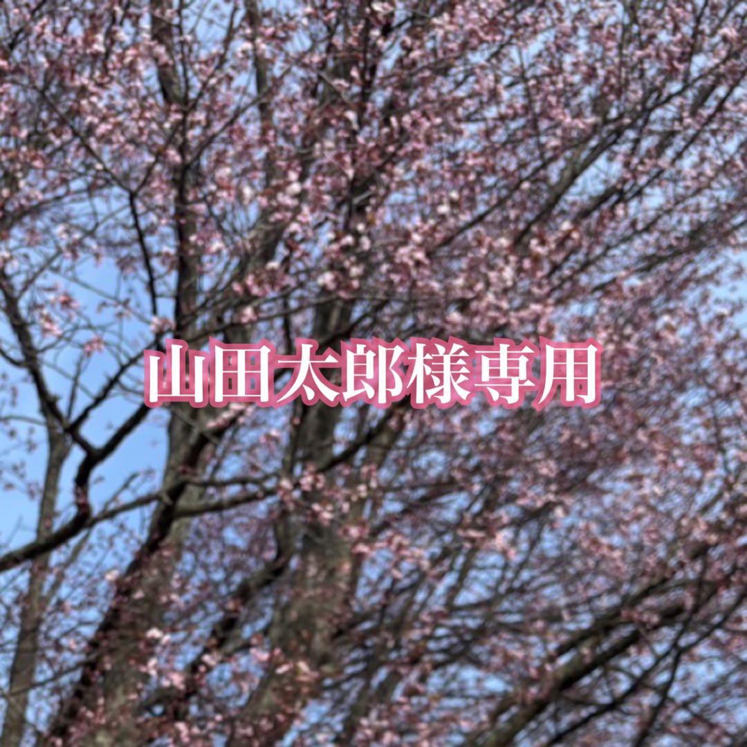 専用　チベットシルバー999 ネックレス×2