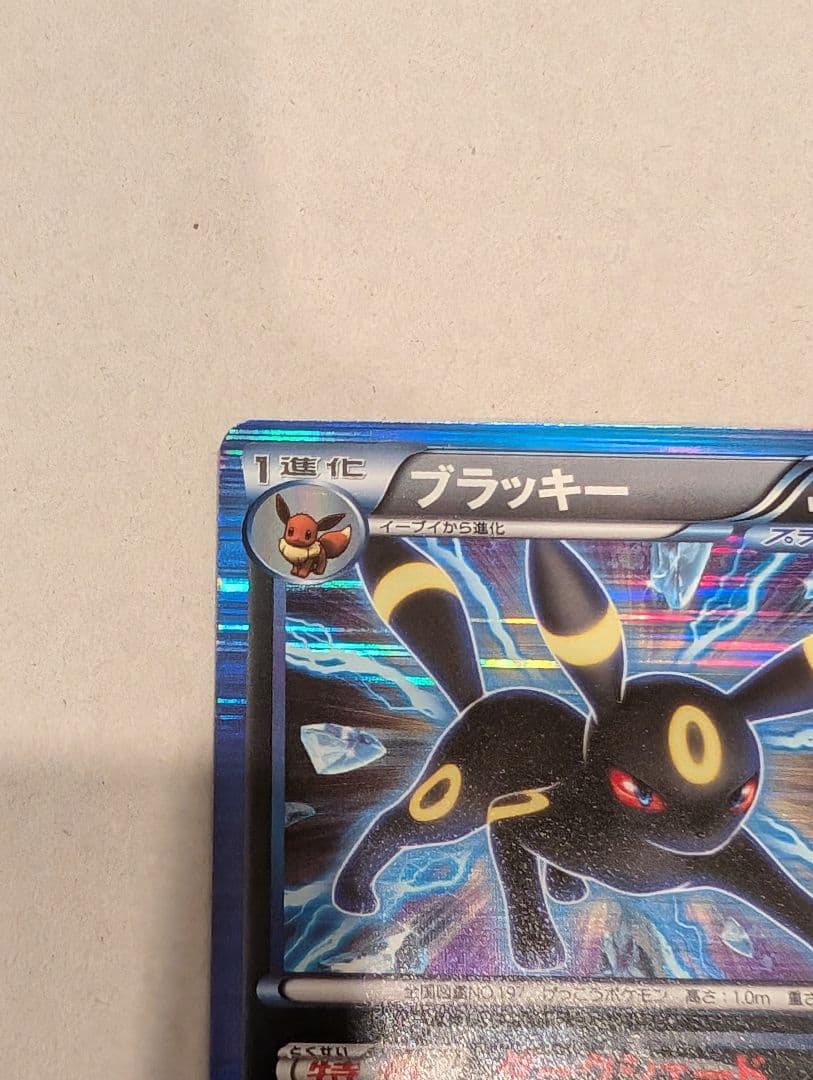 ポケモンカード ブラッキー BW8 031