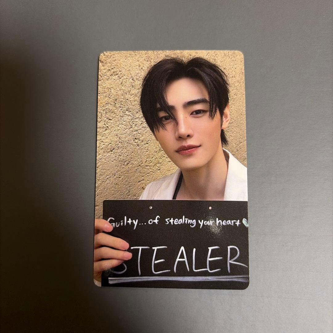 ENHYPEN ソンフン THE SIN VANISH ぬいぐるみトレカ - メルカリ