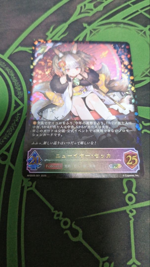 ニューイヤー　セッカ　プロモ