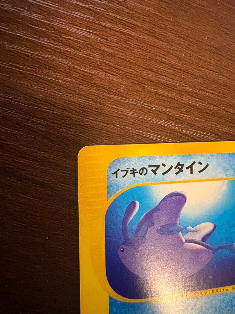 イブキのマンタイン 69 - メルカリ