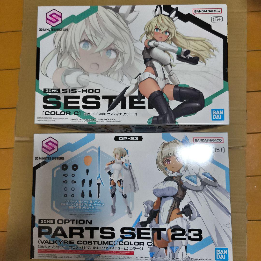 セスティエ　ヴァルキュリアコスチューム　オプションパーツセット