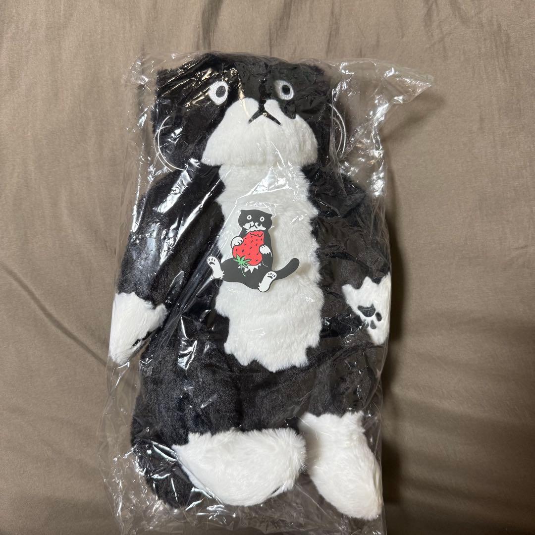 afternoontea アフタヌーンティー チェヨンジュ ぬいぐるみ - メルカリ