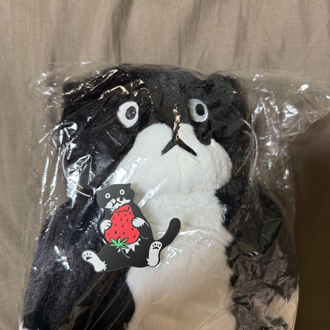 afternoontea アフタヌーンティー チェヨンジュ ぬいぐるみ - メルカリ